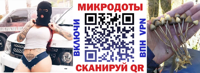 Купить где  Домодедово  Галлюциногенные грибы прущие грибы 